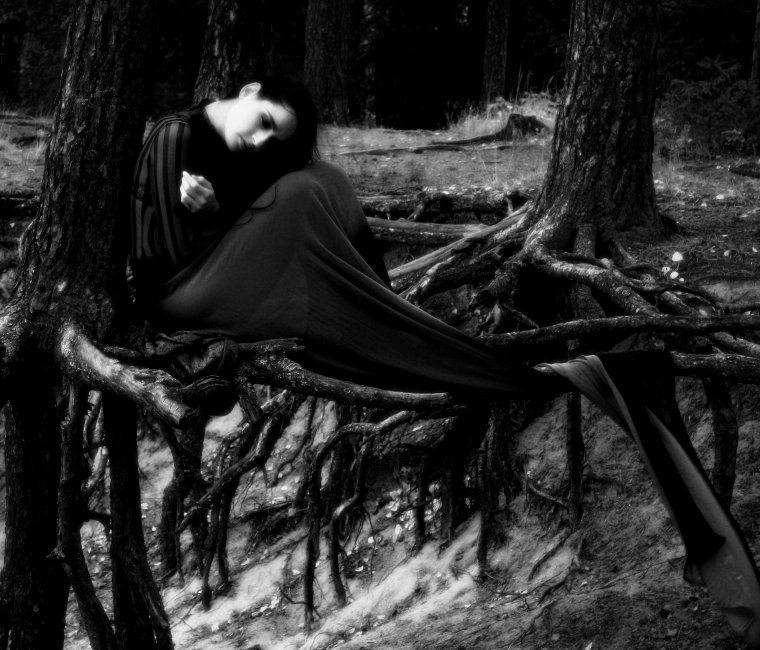 Old_wood_by_NadyaBird.jpg