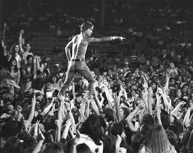 crowd-surfing-leveliggy-popc1evkx.jpg