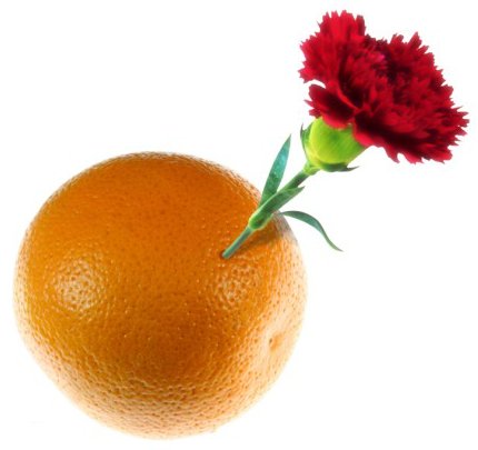 Fidesz-MSZP-osszeno_0.jpg